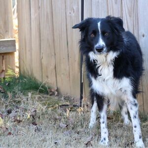 Meet your Posher, Renee